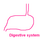 Animals: Human Digestive System