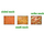 Animals: Human Muscular System