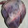 Animals: Human Muscular System