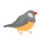 Speciation and Natural Selection
