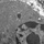 Endoplasmic Reticulum