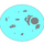 Cytoplasm