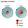 Isotopes