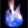 Electron Placement in an Atom