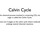 Calvin Cycle