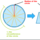 Estimating the Area of a Circle