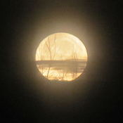 Phases of the Moon