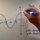 Shifting the Graph of Sine and Cosine