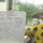 Plugging in a Value and Solving