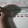 Finding Data on a Box Plot