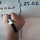 Relating Miles Cubed and Kilometers Cubed