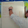 Finding Data on a Box Plot