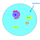 Cytoplasm