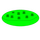 Chloroplast