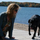 Debra Kuglin