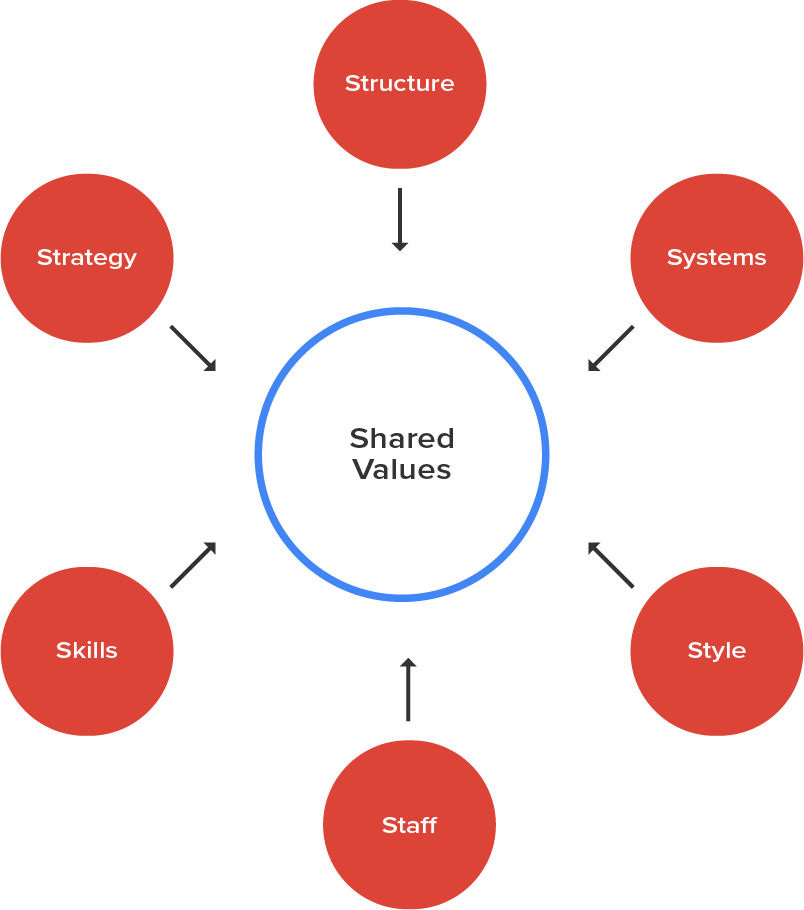 The Internal Organization and External Environments Tutorial | Sophia ...
