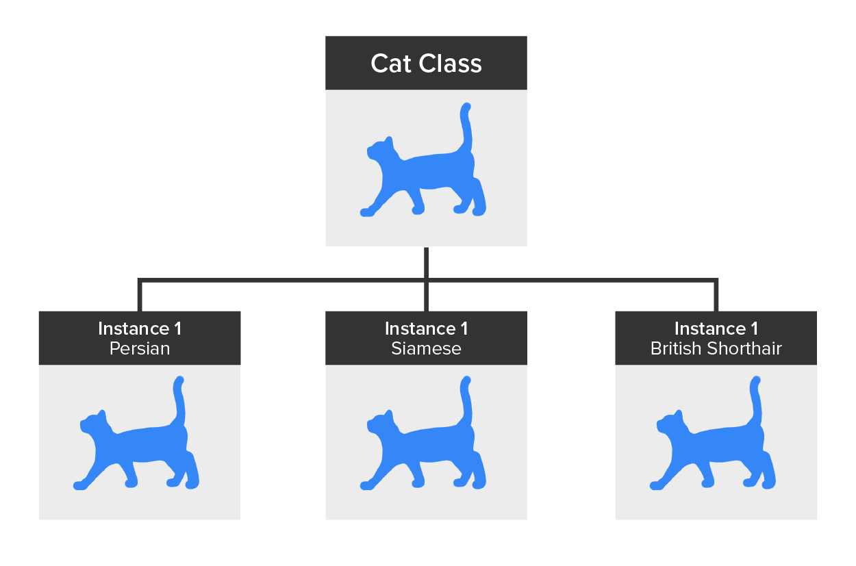 Introduction to Inheritance Tutorial | Sophia Learning