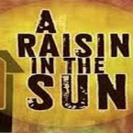 Raisin in the sun essay
