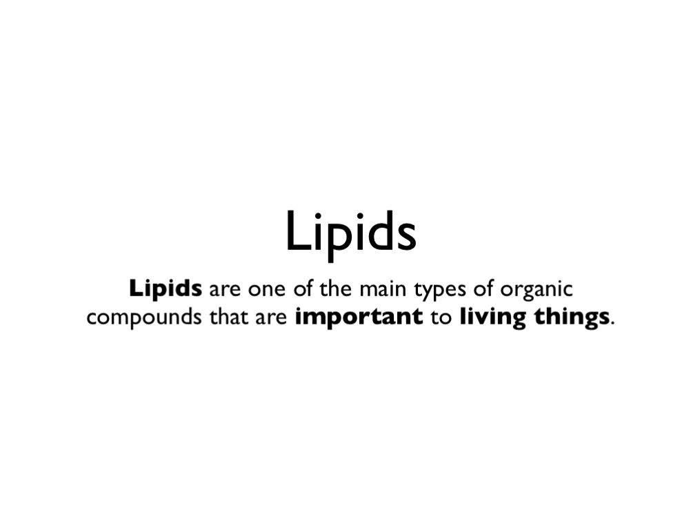 Structure and Function of Macromolecules: Lipids Tutorial | Sophia Learning
