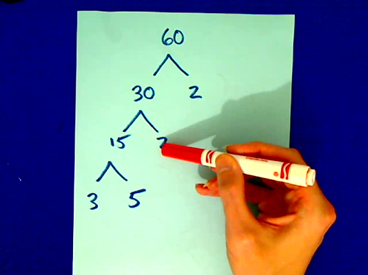 Constructing a Factor Tree Tutorial | Sophia Learning