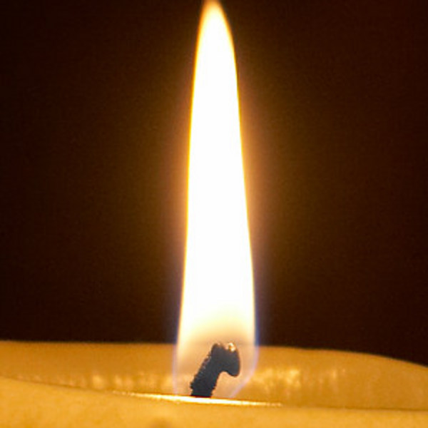 Endothermic/Exothermic Reactions Tutorial Sophia Learning