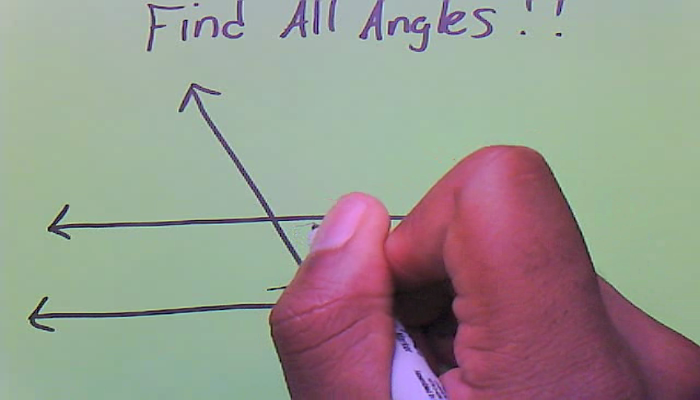 Solving for All Angles of a Transversal Tutorial | Sophia Learning