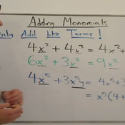 Adding And Subtracting Monomials Worksheet 1
