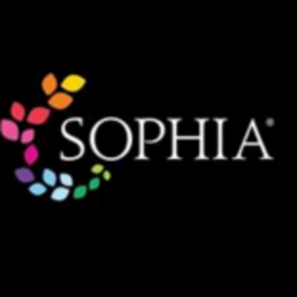 Mughal Architecture Tutorial Sophia Learning