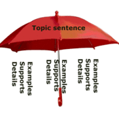 Topic sentences for essays